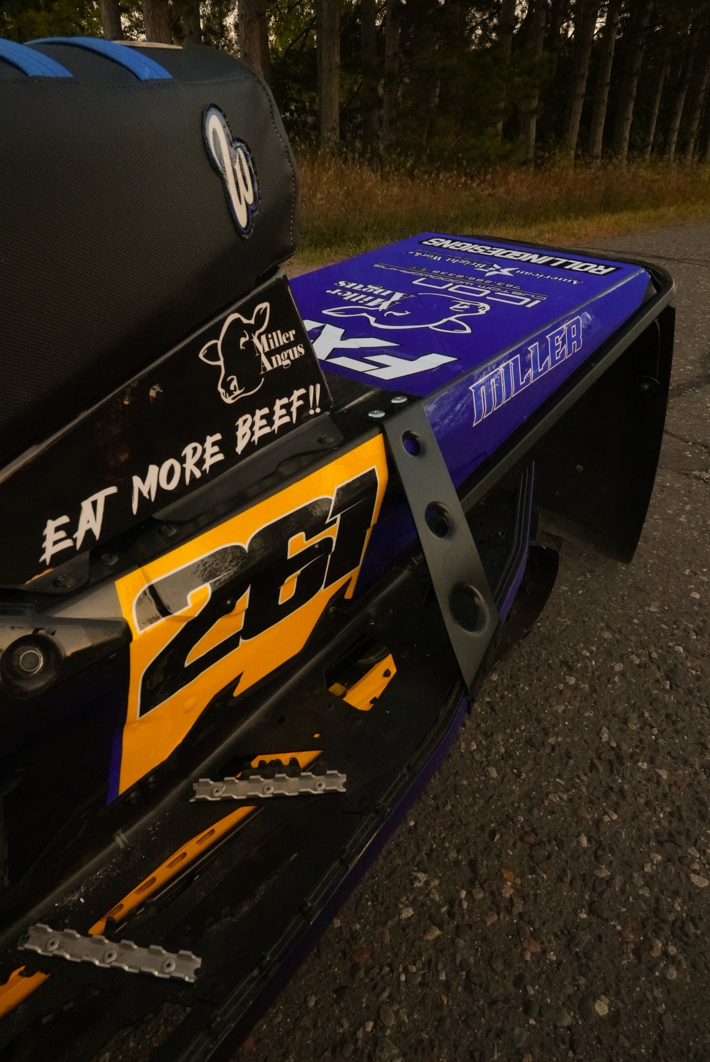 Snowmobile Graphics